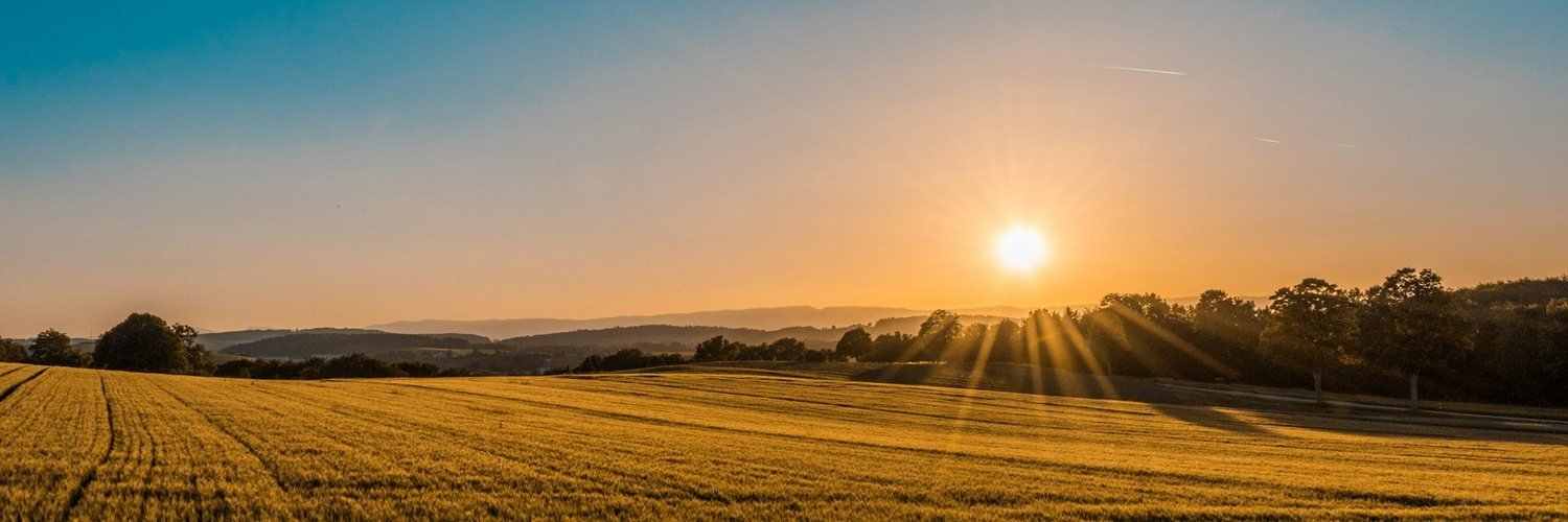 Abstract editorial visual for Agri/Eco Edge AI for Distributed Field Operations